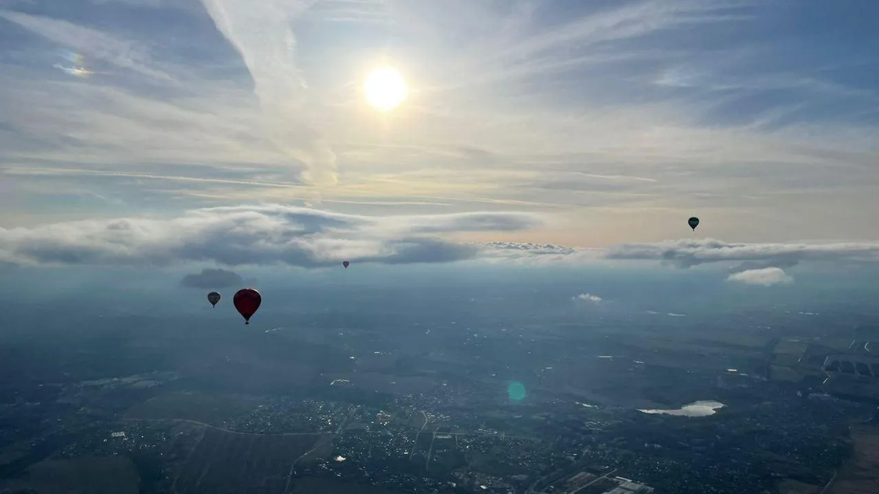 Фото: Министерство социального развития Московской области