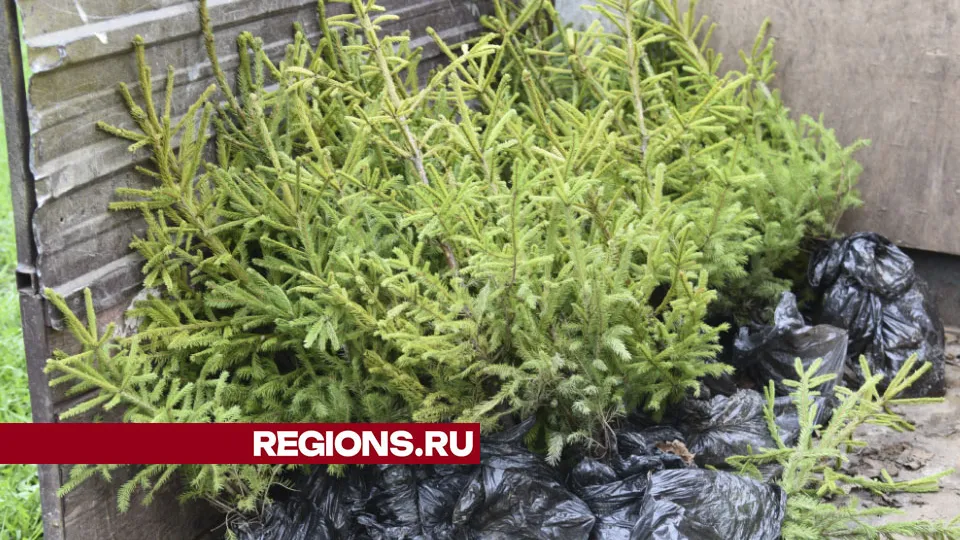 Фото: Владимир Останин