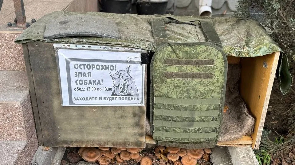 Фото: Роман Тикунов