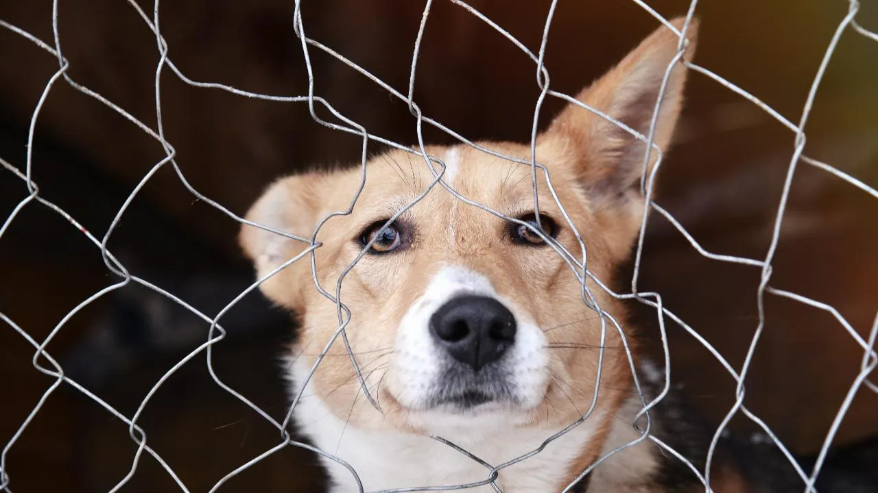 медиасток.рф