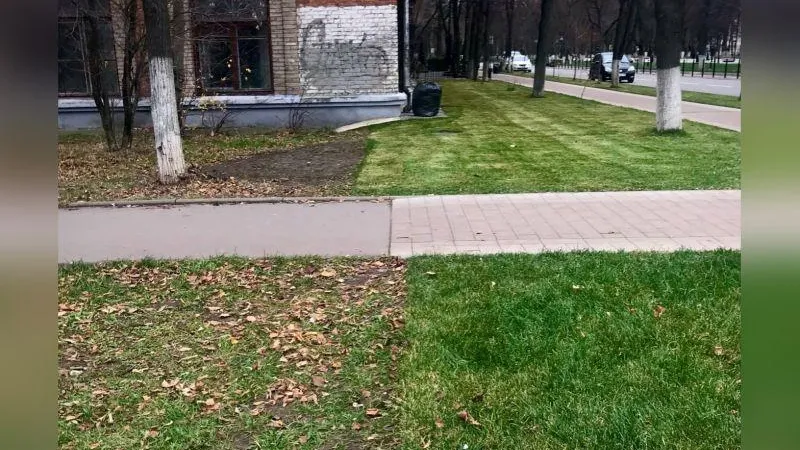 Жители Жуковского не поняли контрастов благоустройства в городе