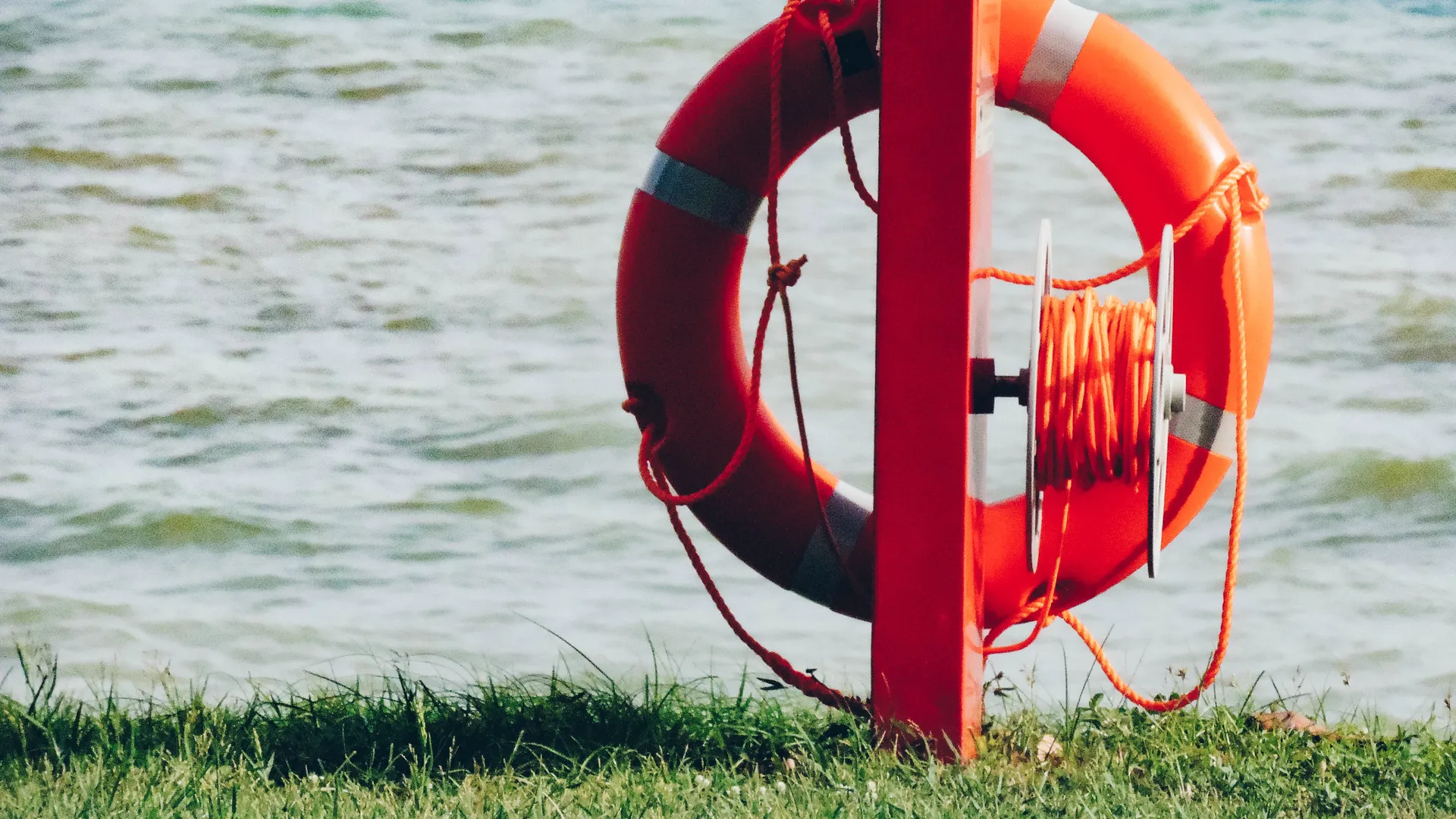 Фото: pxhere.com