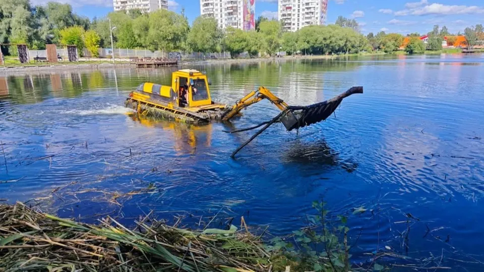 Фото: пресс-служба администрации г.о. Лобня