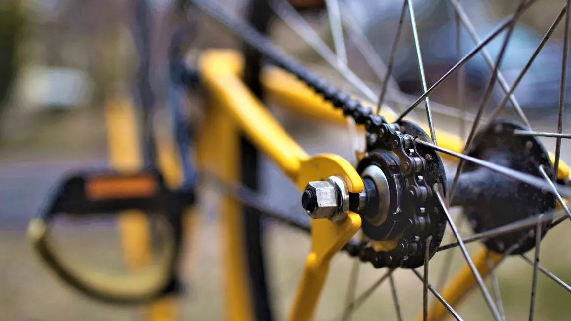 Фото: pxhere.com