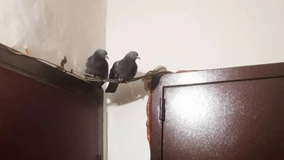 Фото: Виктория Тенькова