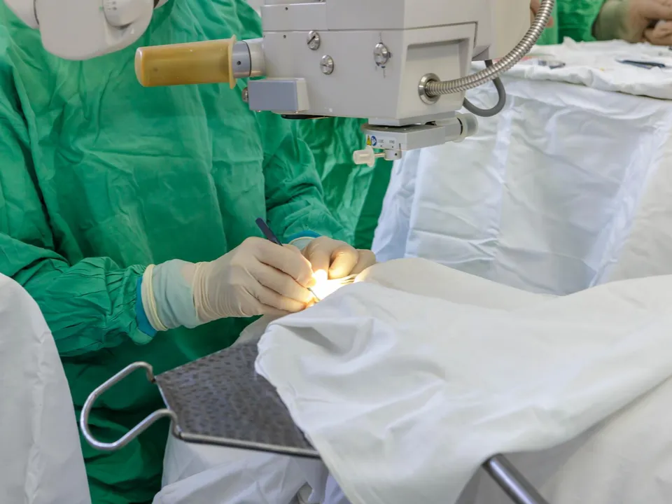 Фото: Наталья Лымарь