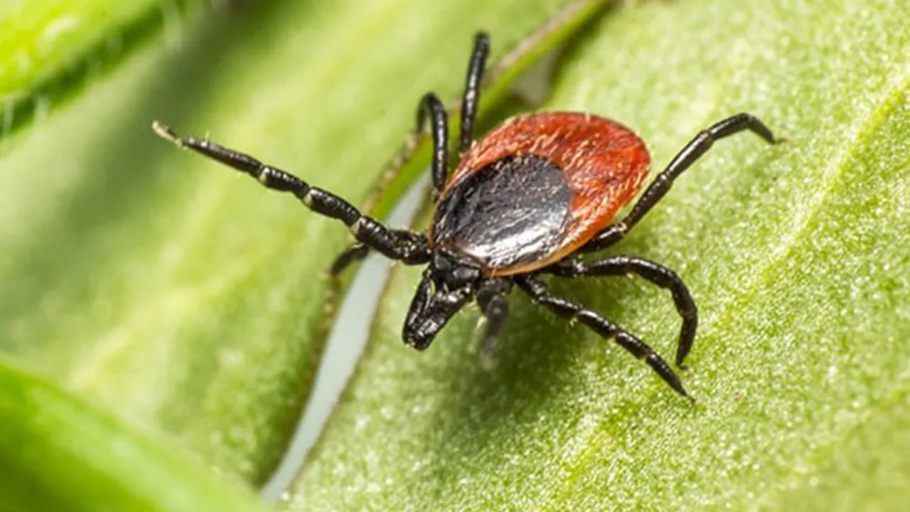 Фото: freepik.com