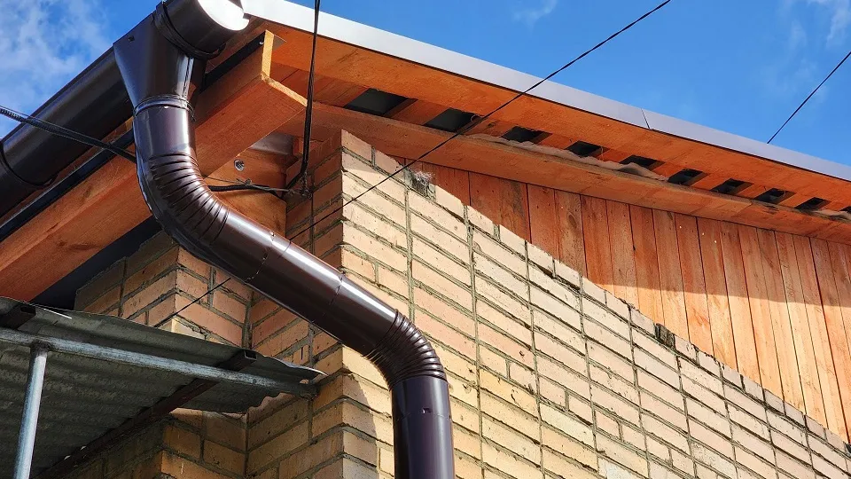 Фото: Светлана Плотникова