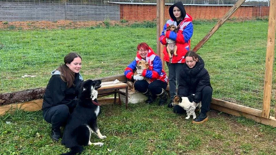 Фото: t.me/MMC_Ruza