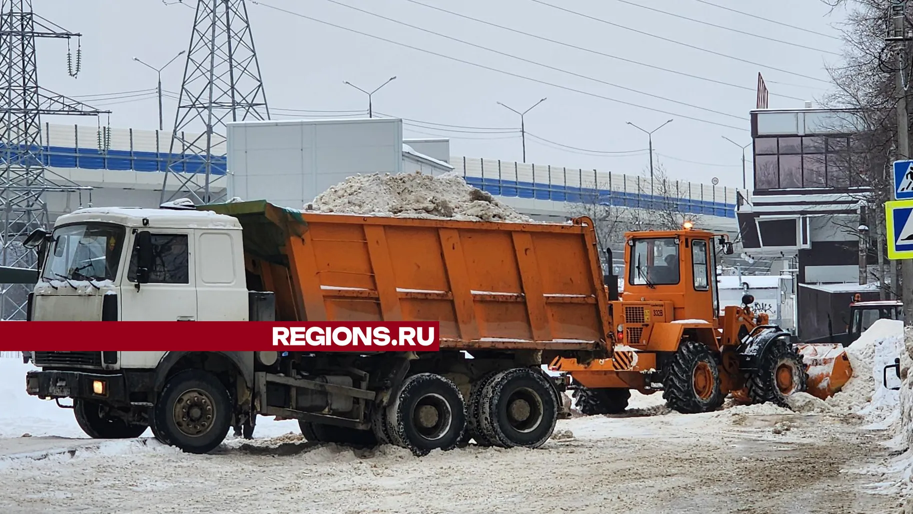 Фото: Галина Добрынина