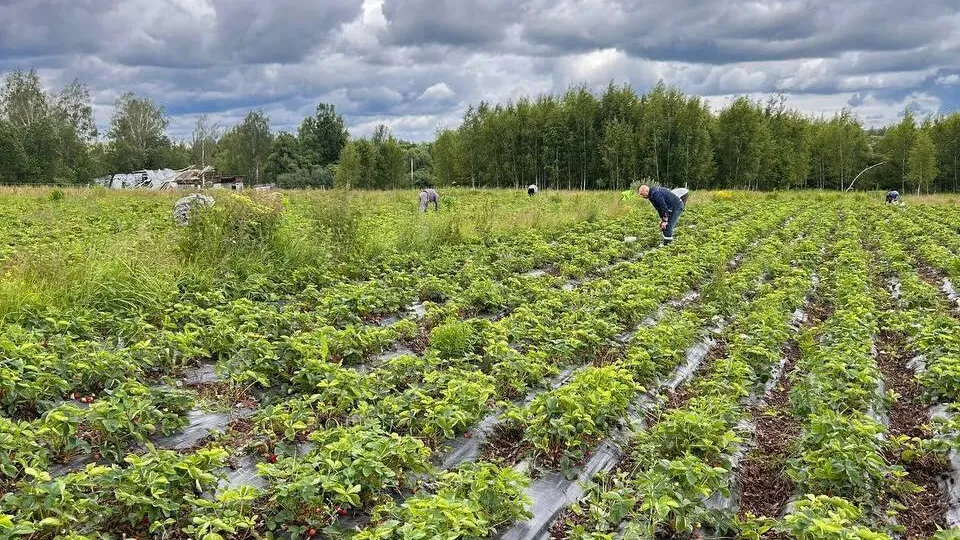 Фото: пресс-служба администрации г.о. Клин