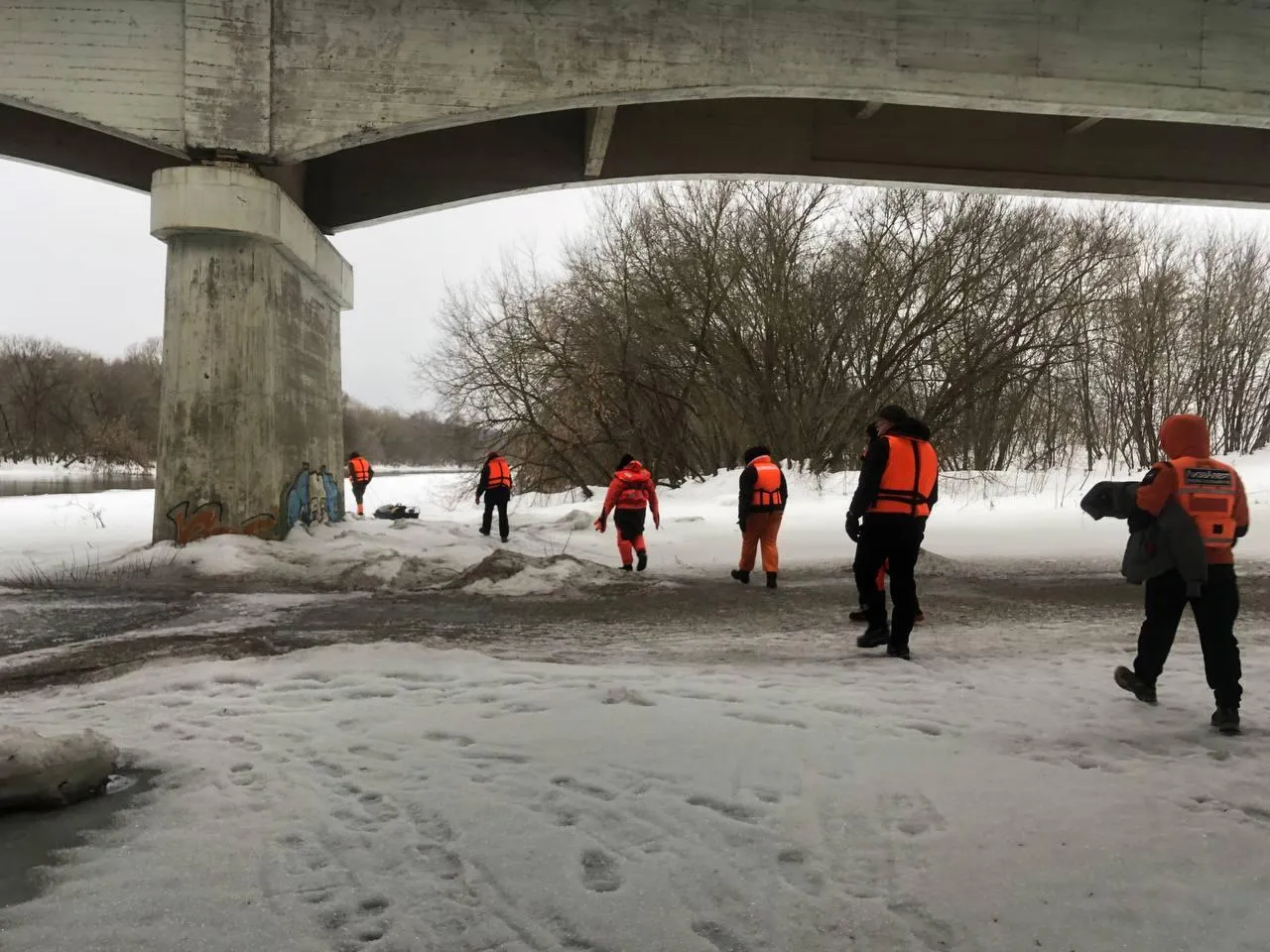 поисковый отряд «Лиза Алерт»