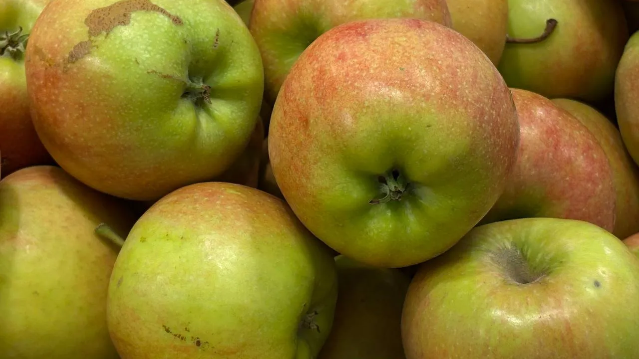 Фото: REGIONS/Полина Крачун