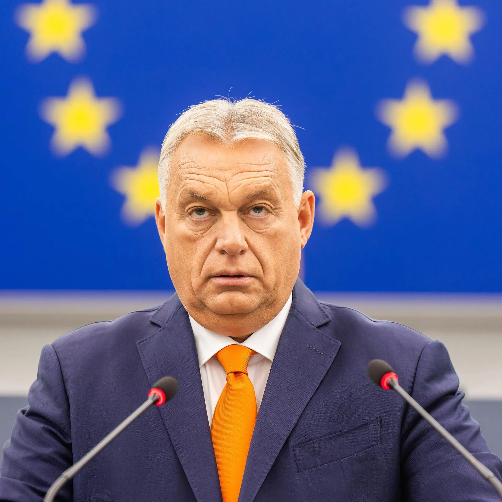 Philipp von Ditfurth