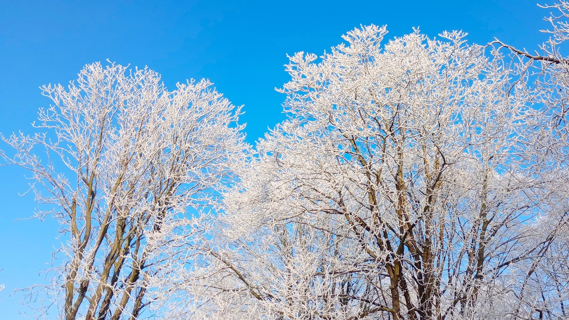 фото: pxhere.com