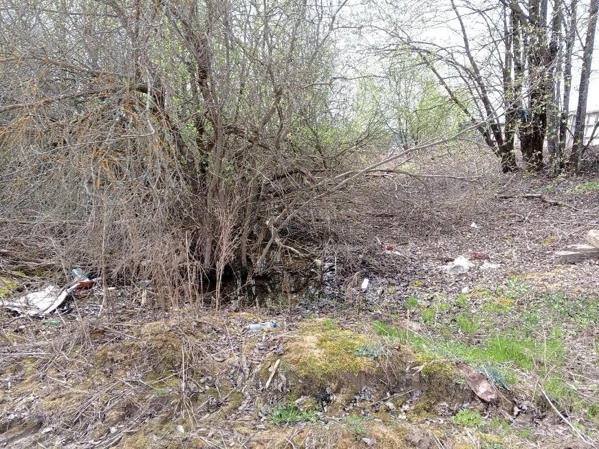 Фото: vmeste.mosreg.ru/UserFromMain