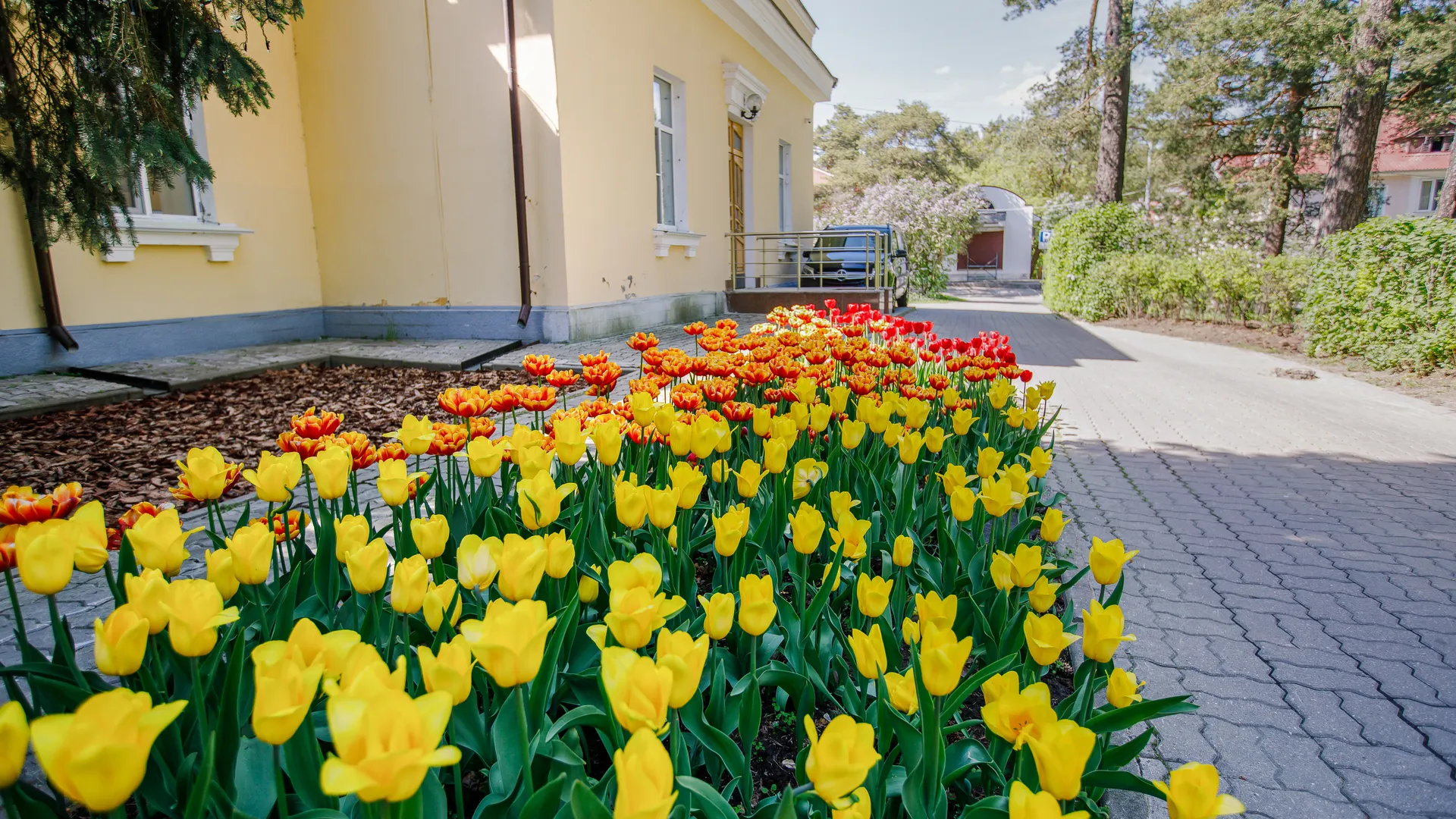 Шесть выходных за месяц: как отдыхаем на майские праздники в 2026