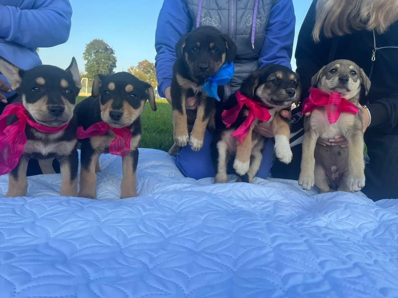 МБУ по работе с молодежью МЦ "Выбор"/ВКонтакте