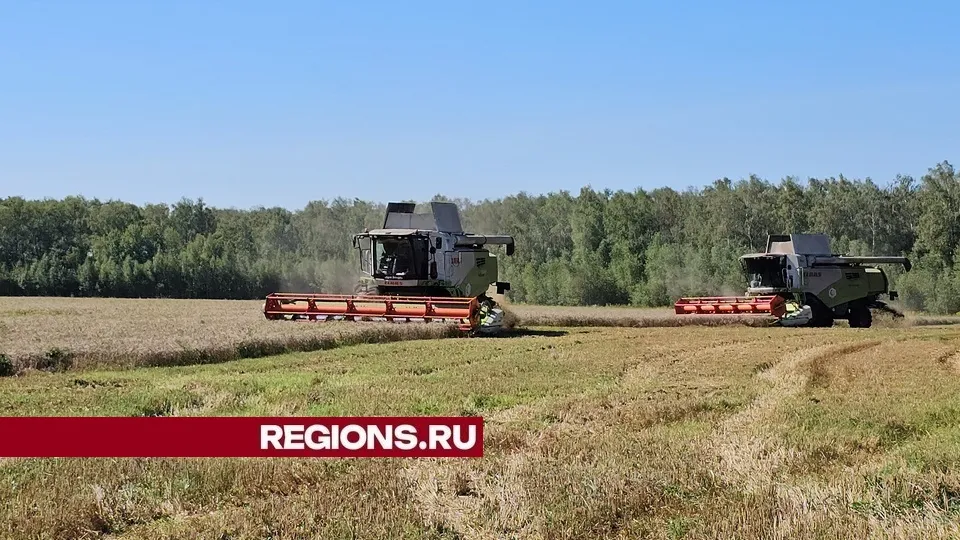 Фото: REGIONS/Александр Дрожжин