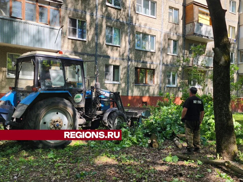 Фото: Мария Андрюхина