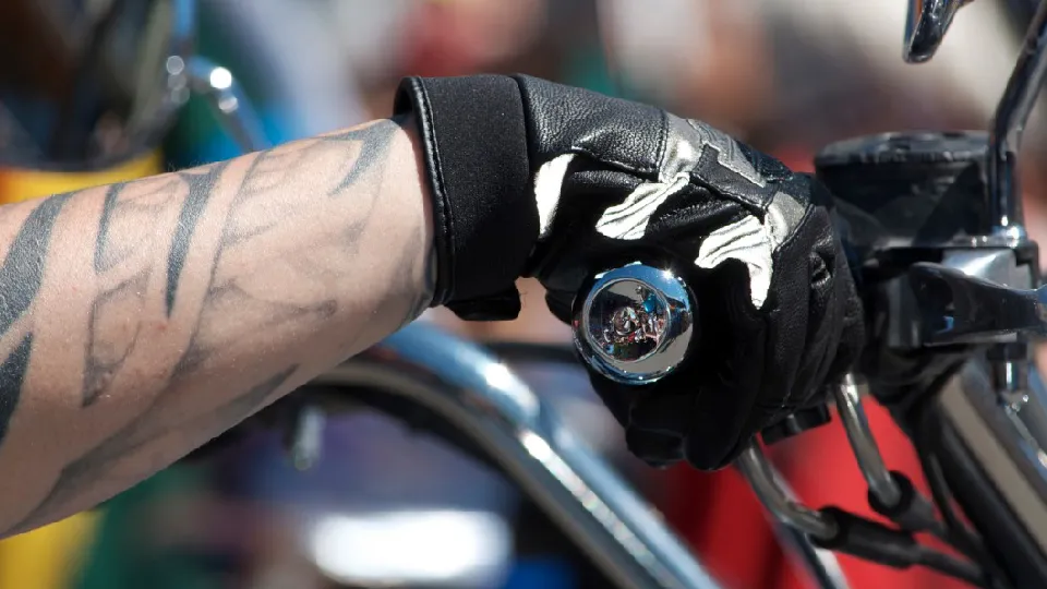 Фото: Госавтоинспекция г.о. Серебряные Пруды