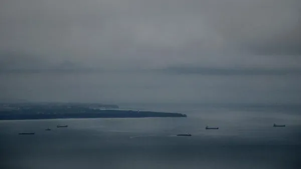 Балтийское море становится безжизненным