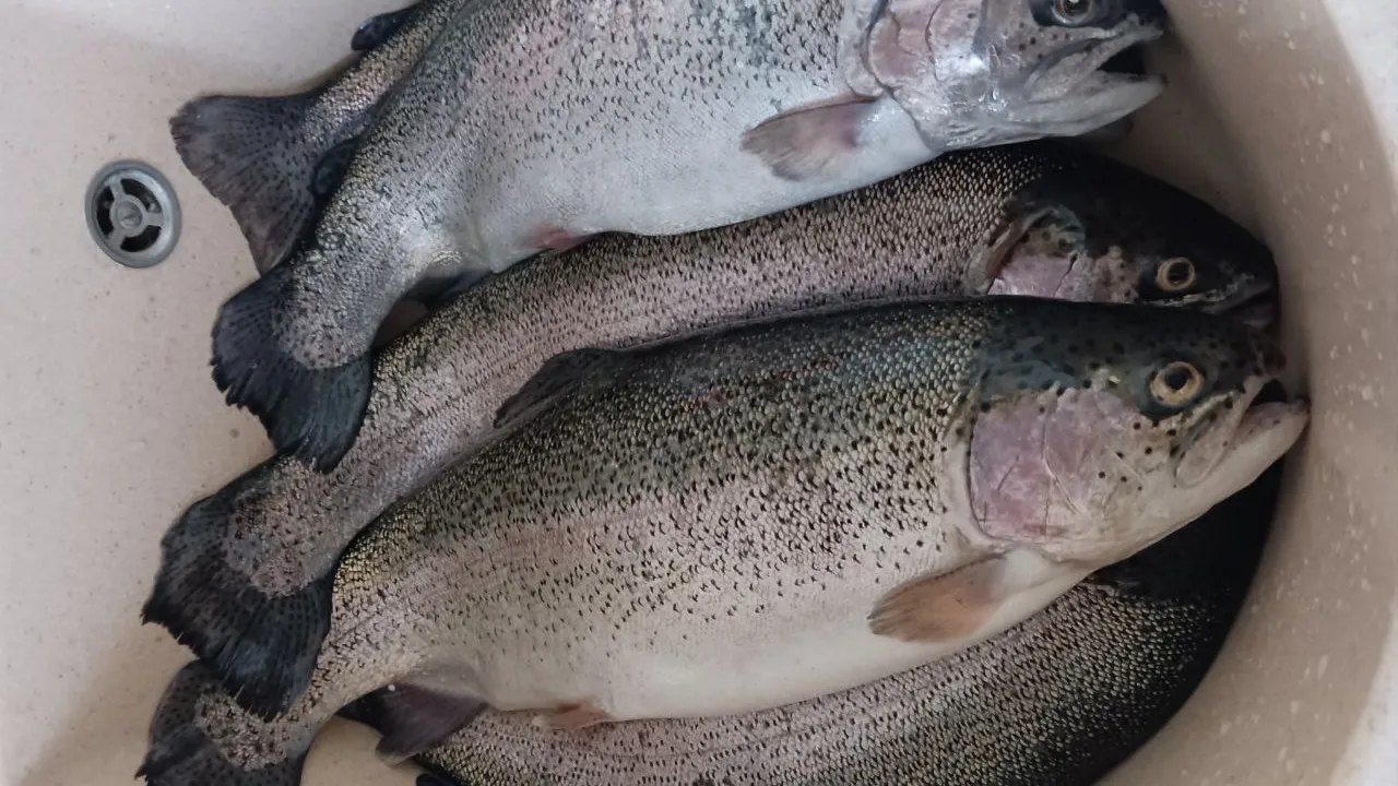 Фото: Ирина Горбачева