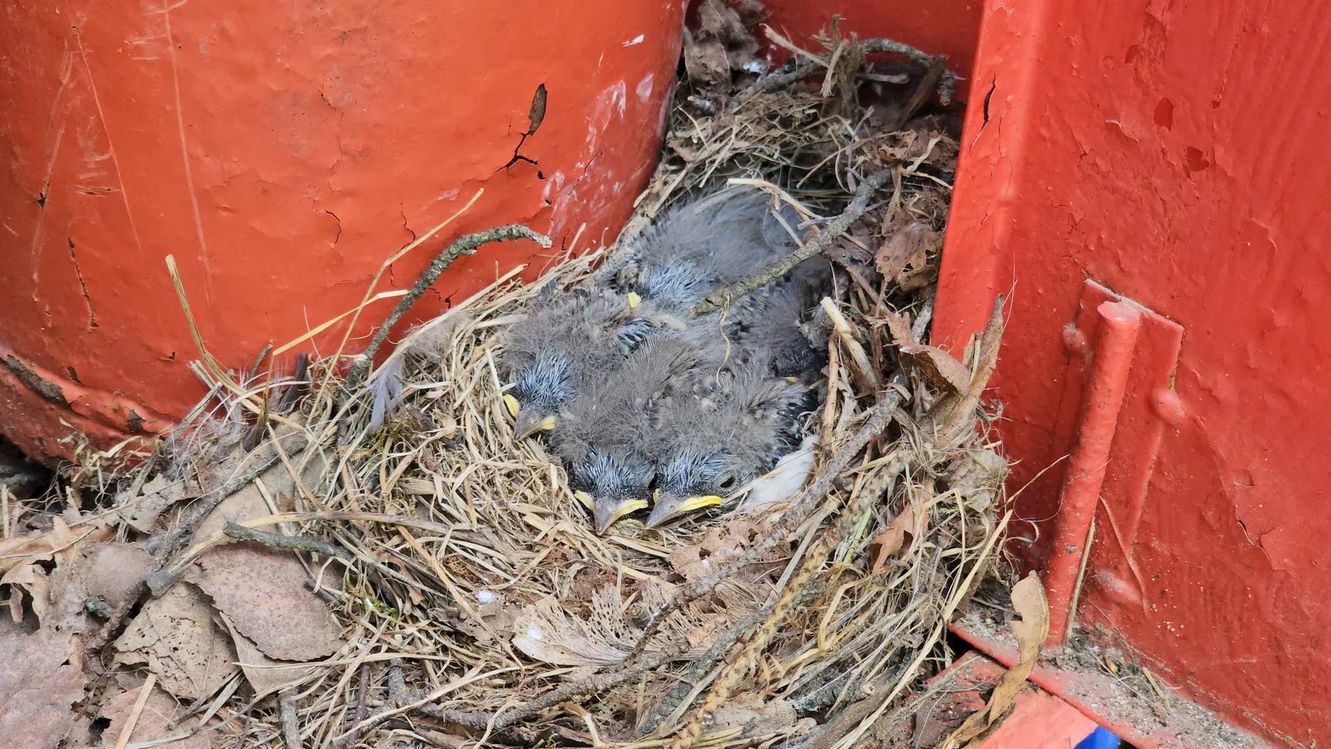 Фото: Артем Мишуков