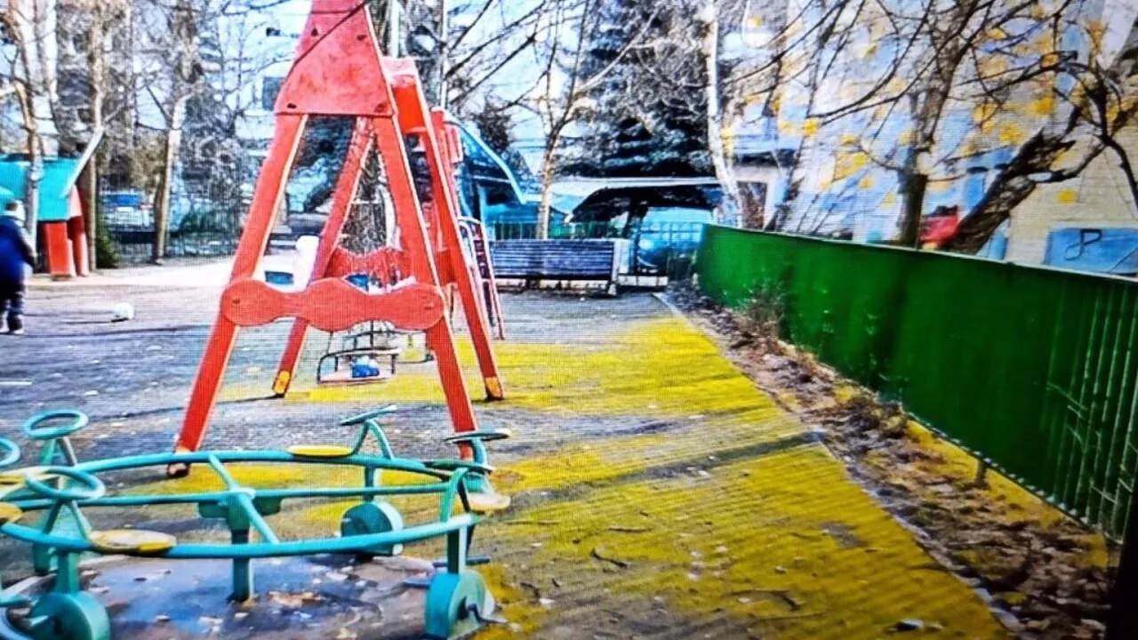 Джунгли вместо песочниц: детские площадки в подмосковном городе заполонил мох