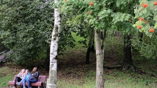 В 8 раз выросла посещаемость парков Подмосковья с 2014 года