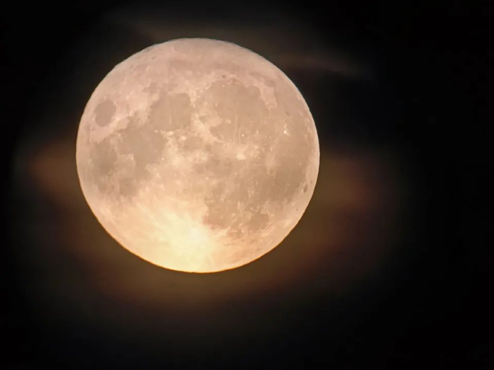 Фото: МедиаБанк Подмосковья/Яна Шаливская