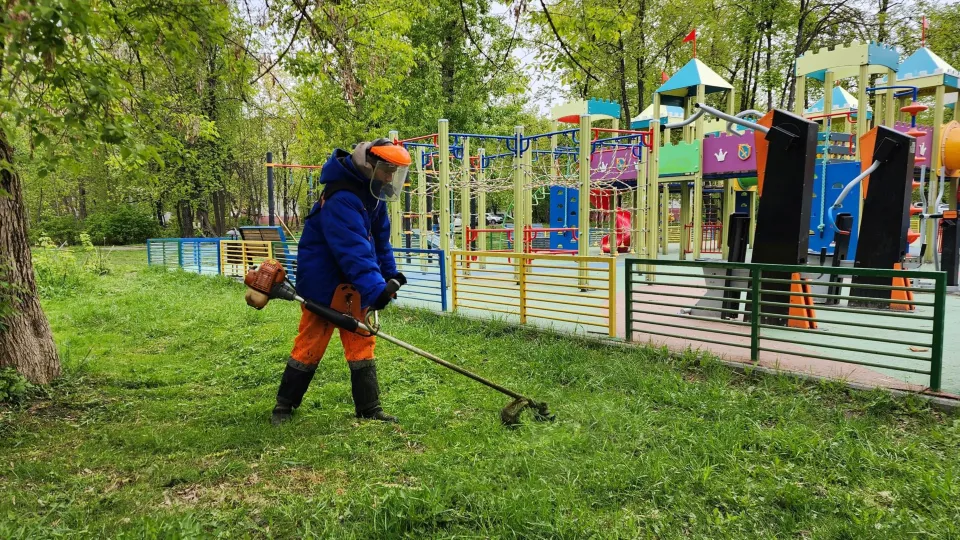 Фото: REGIONS/Наталья Дорошева