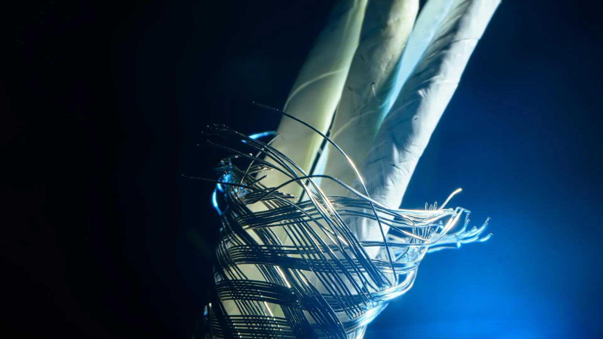 пресс-служба Департамента инвестиционной и промышленной политики Москвы