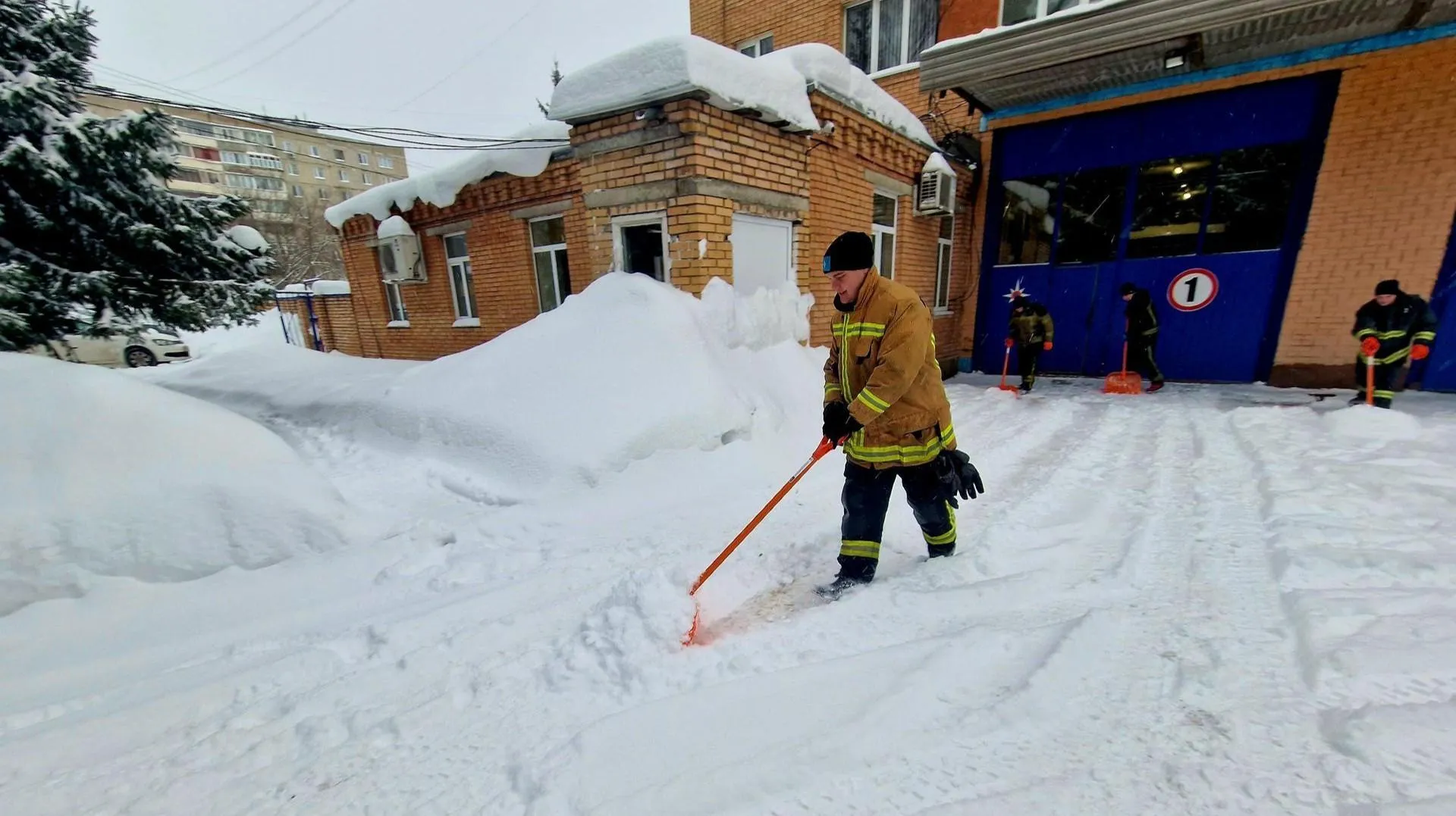 REGIONS/Ольга Шаронова