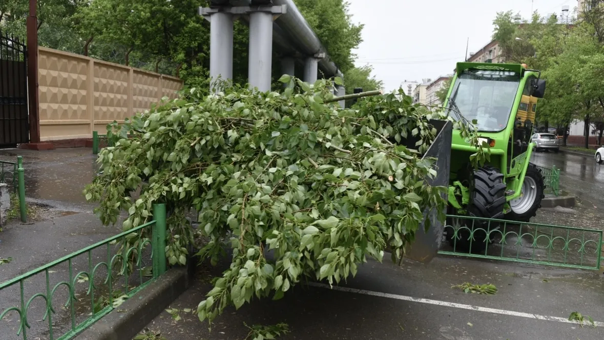 Фото: медиасток.рф