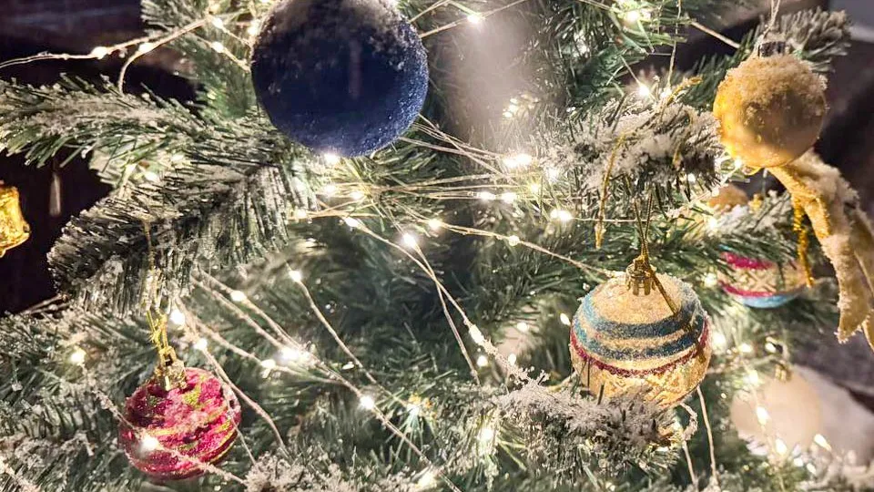 Фото: REGIONS/Евгения Макаренко