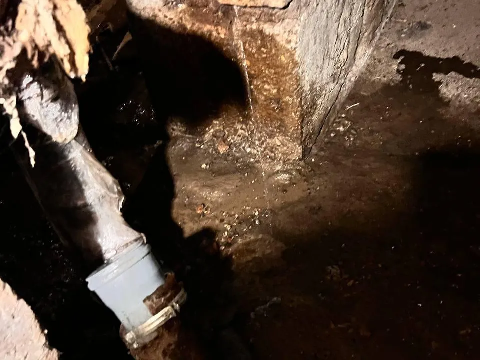 Фото: Наталья Лымарь