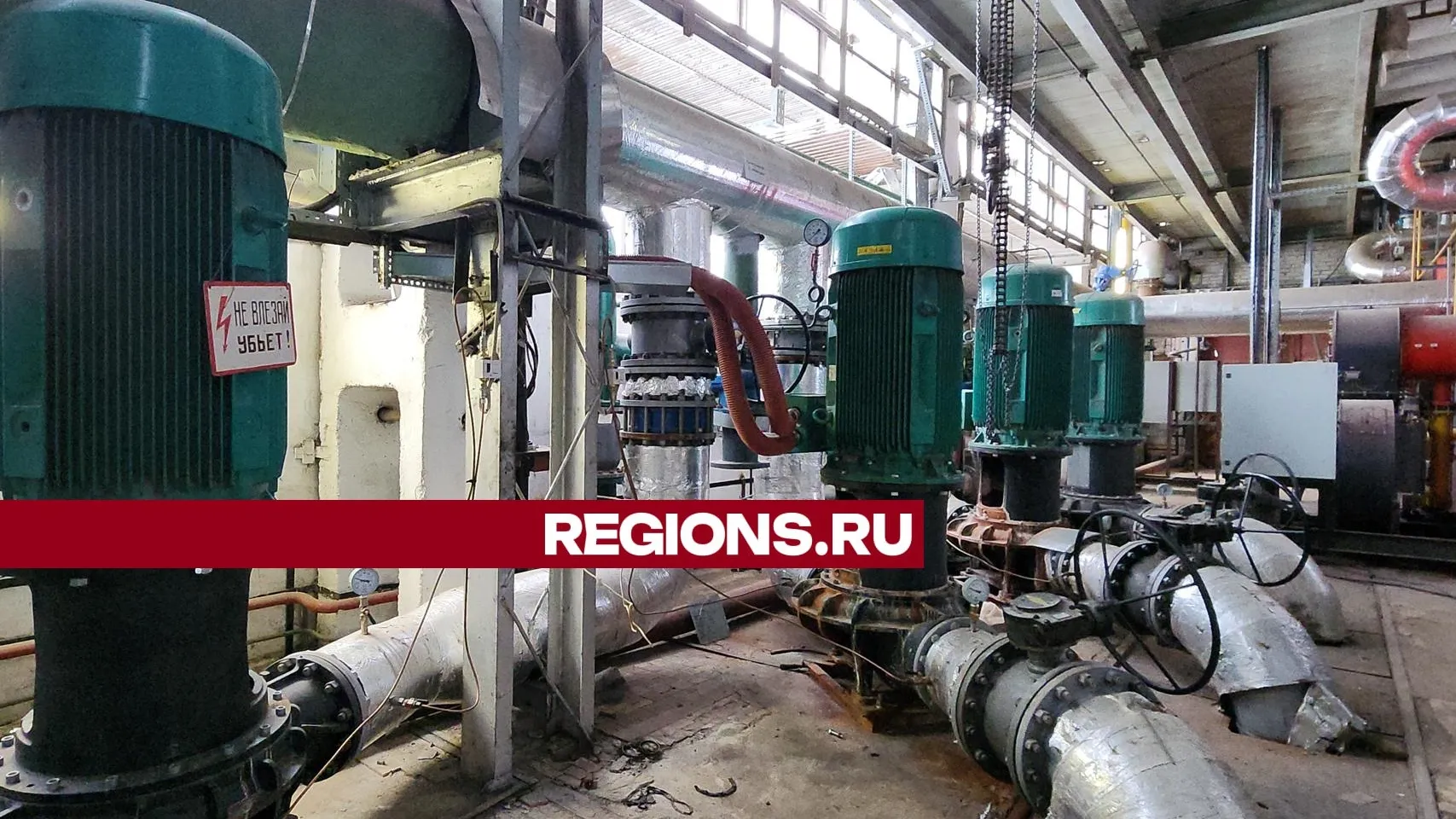 Фото: Нина Басистая