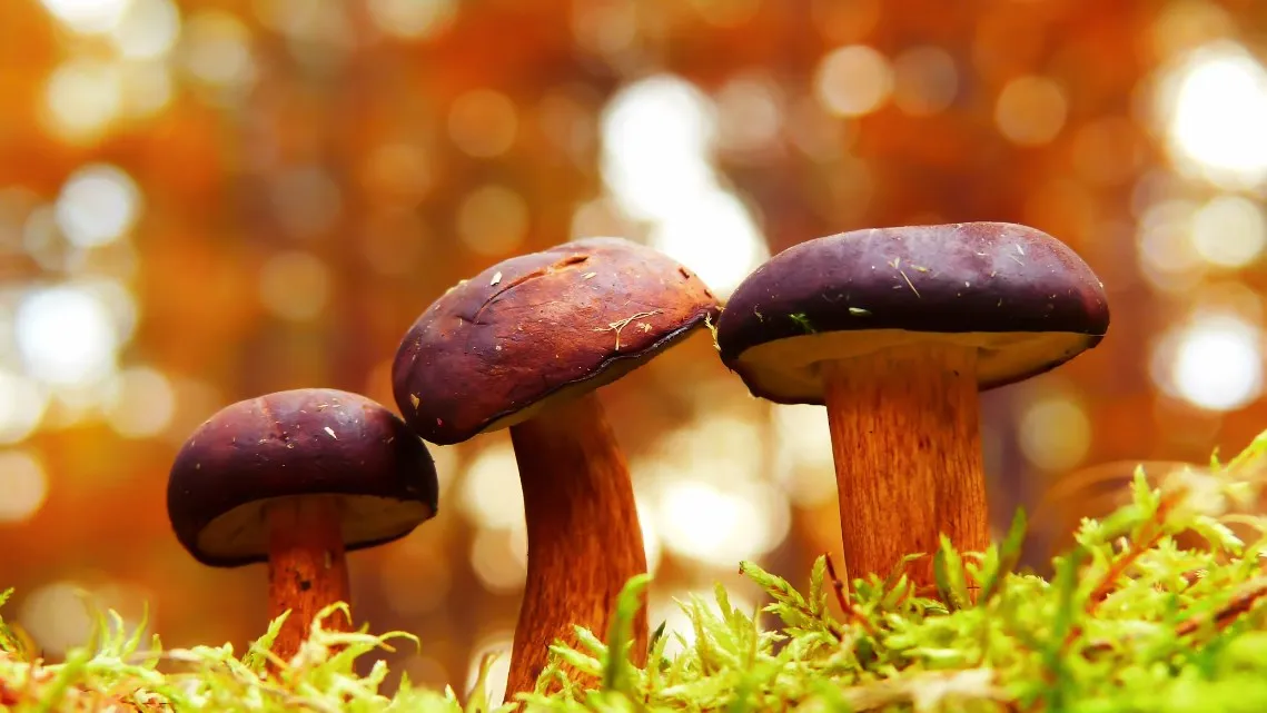 Фото: unsplash.com