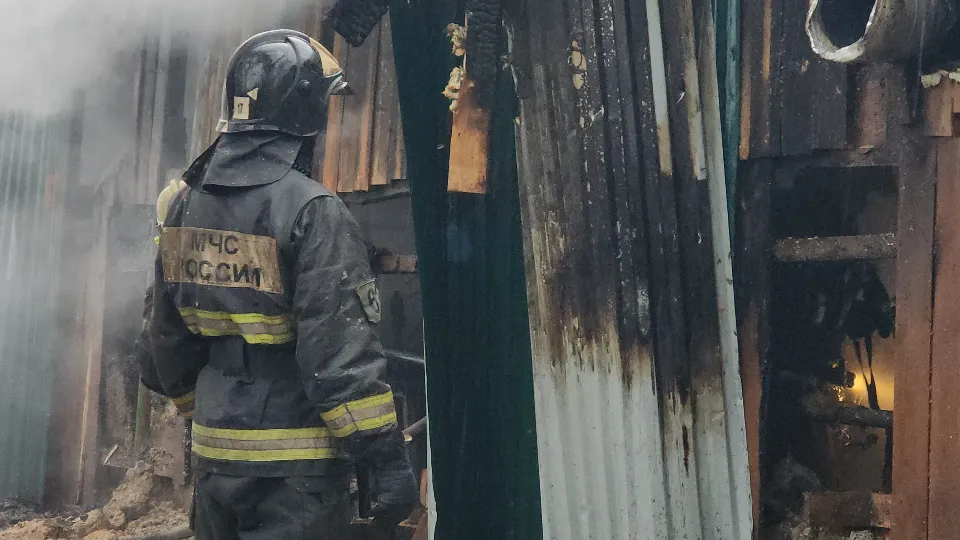 Фото: МедиаБанк Подмосковья/Валерия Исаева