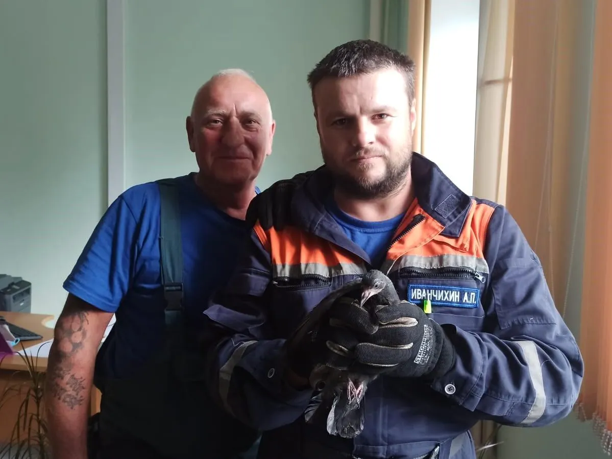 Фото: пресс-служба ГКУ МО «Мособлпожспас»