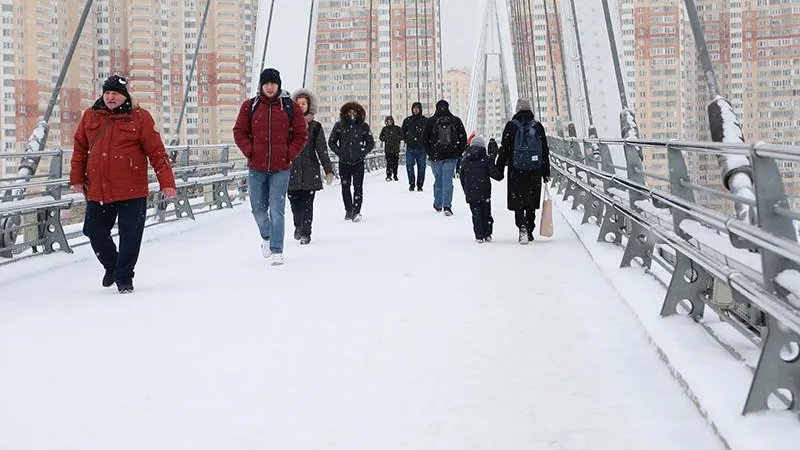 Метель и морозы накроют Подмосковье в ближайшие дни