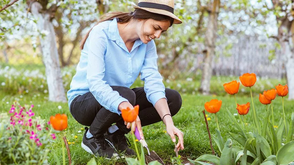 Фото: istockphoto.com