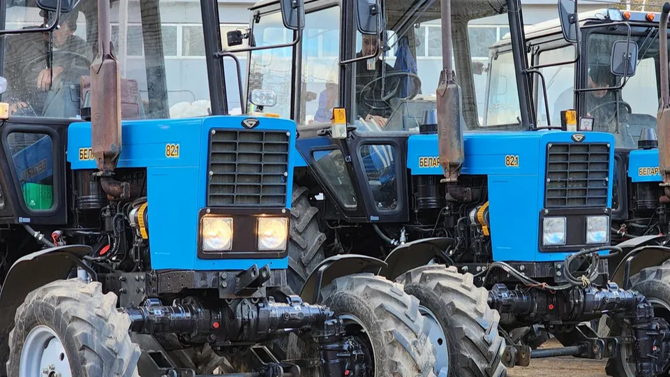 Фото: Мария Юдина