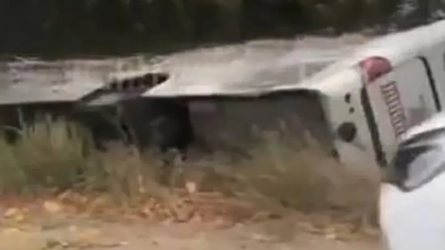 Фото: соцсети