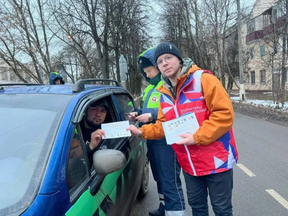Фото: Волонтеры Домодедова