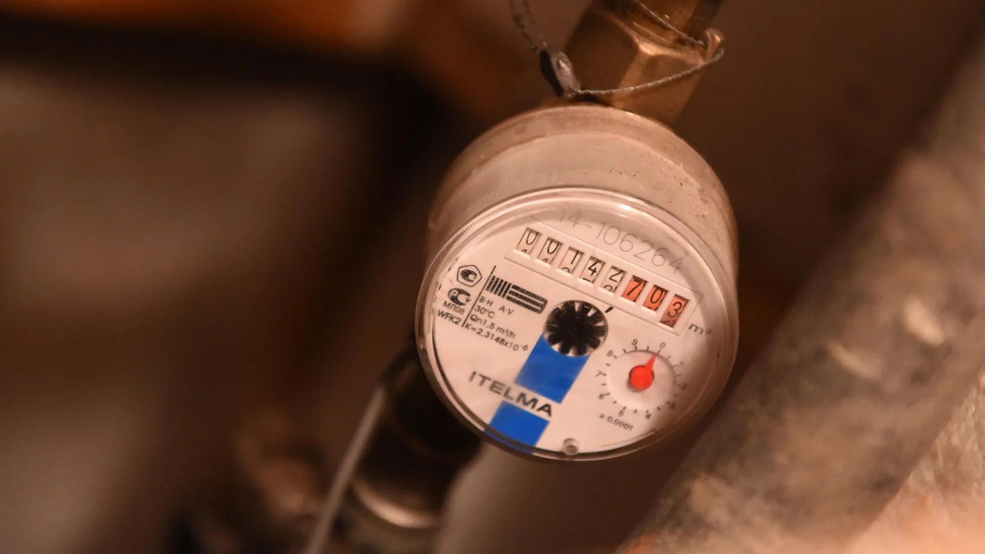 Анастасия Осипова