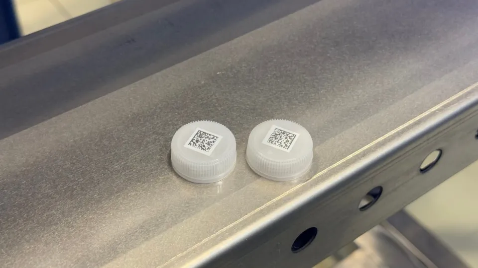 Фото: ГК «Каллисто»