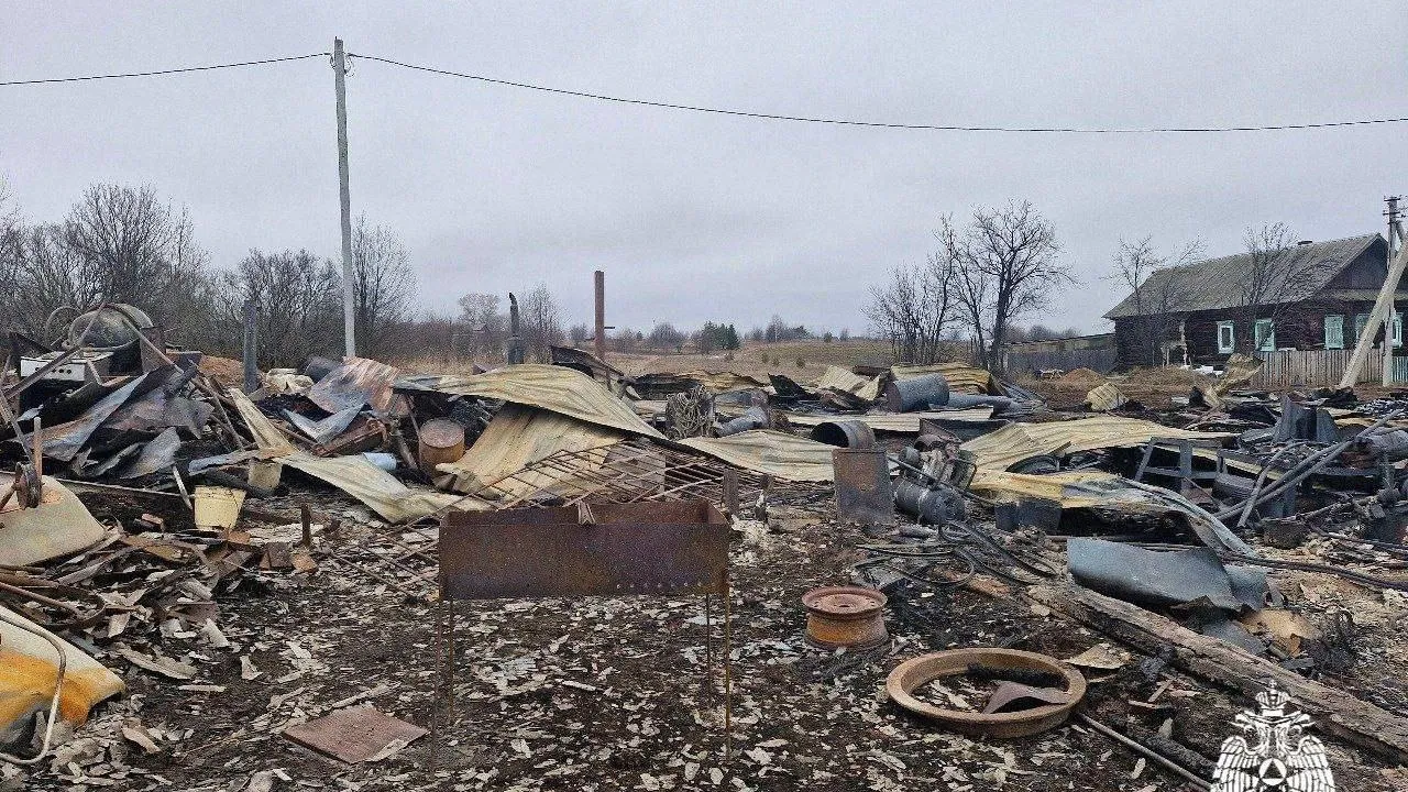 В Удмуртии пенсионер спалил два дома, пытаясь приготовить шашлык