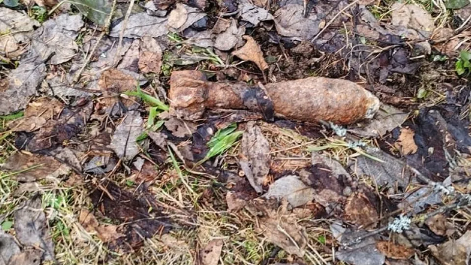 Фото: ГКУ МО «МОСОБЛПОЖСПАС»